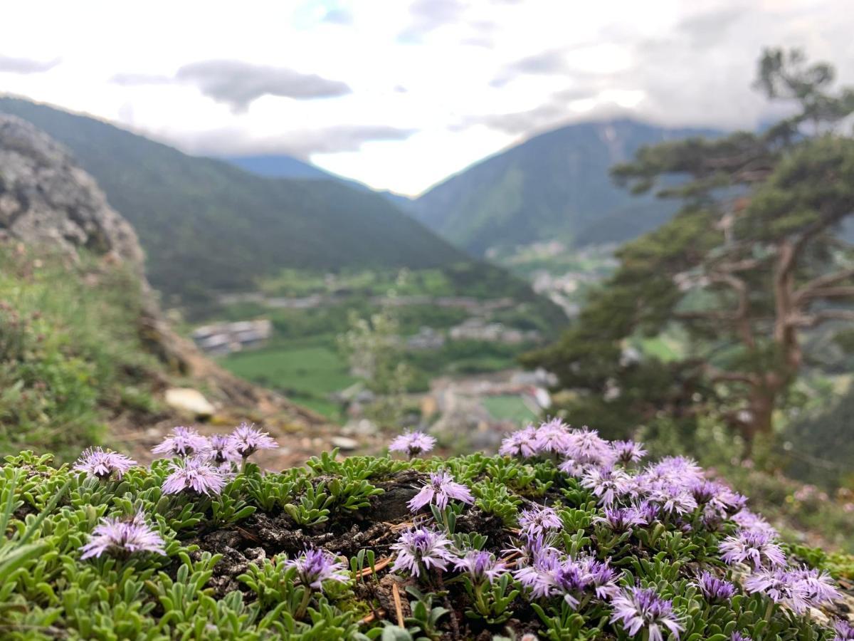 Maians - Peu Del Riu 122 - Vall D'Incles - Soldeu Dış mekan fotoğraf