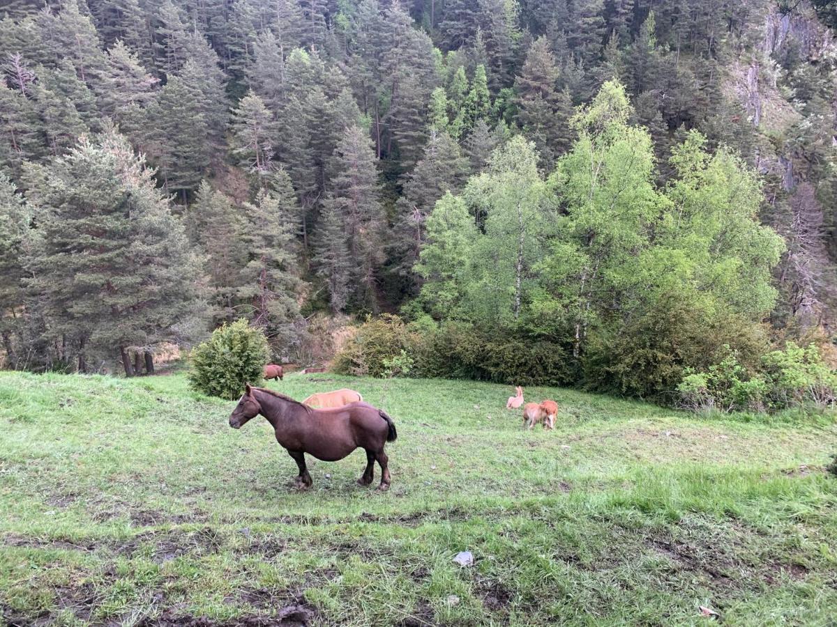 Maians - Peu Del Riu 122 - Vall D'Incles - Soldeu Dış mekan fotoğraf
